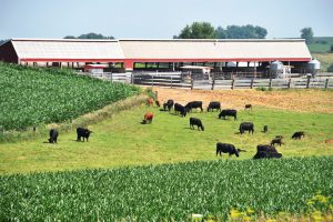 Kansas Reflector | Family farmer, animal rights groups stick a fork in U.S. Sen. Marshall’s EATS legislation
