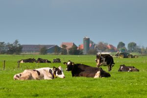 Lancaster Farming | Bolster American Farmers, Stop EATS Act [Opinion]
